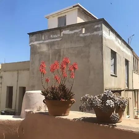 Chrynigema ハニア