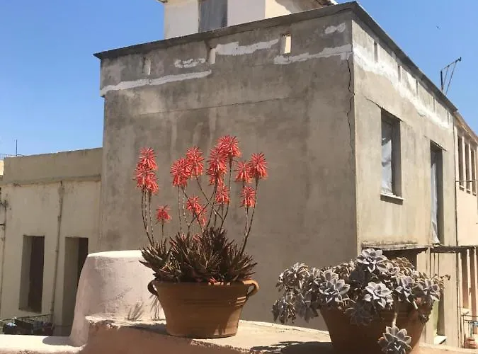 Chrynigema Χανιά